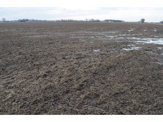 Property photo 2 - 173 +/- Acres Offered in 3 Tracts - Ohio Farmland